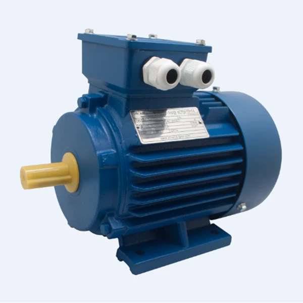 Alliance Electric Motor